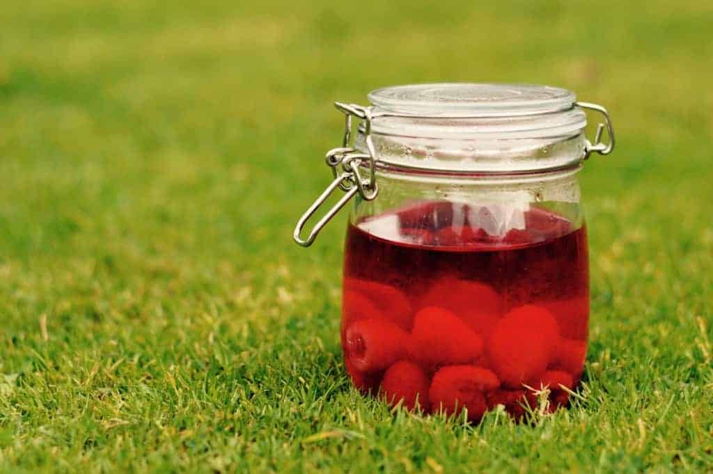 Raspberry Gin